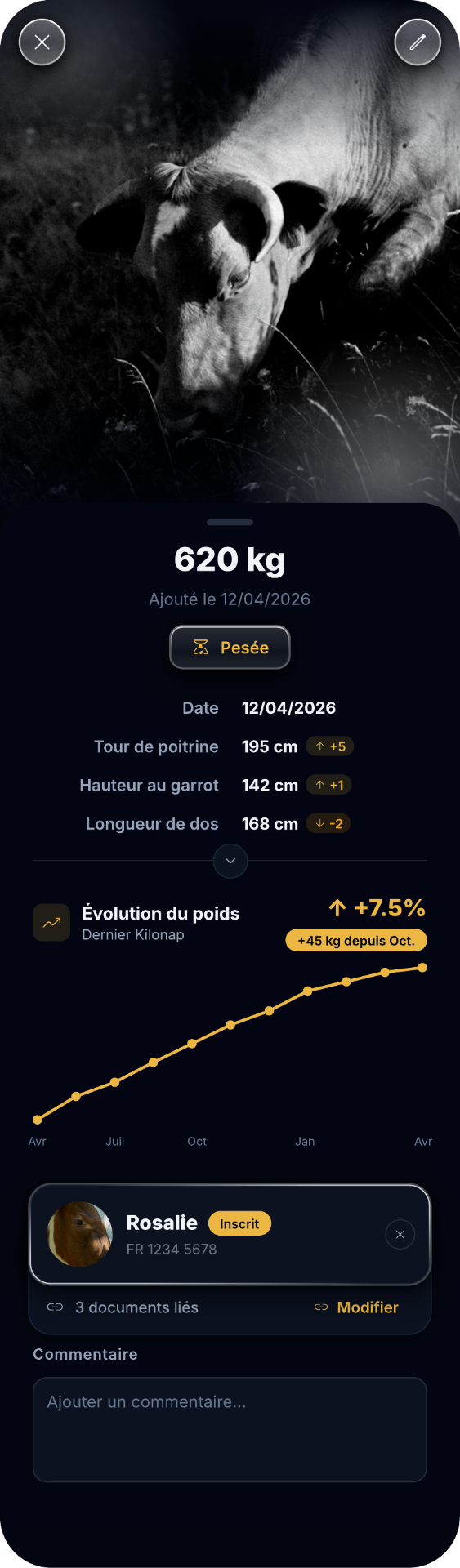 KiloSnap — écran de pesée